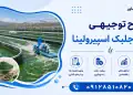 طرح پرورش جلبک اسپیرولینا