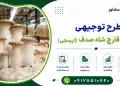 طرح پرورش قارچ شاه صدف (ارینجی)