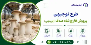 طرح پرورش قارچ شاه صدف (ارینجی)