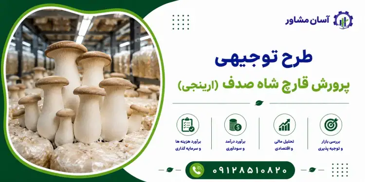 طرح پرورش قارچ شاه صدف (ارینجی)