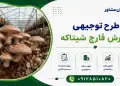 طرح پرورش قارچ شیتاکه
