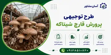 طرح پرورش قارچ شیتاکه