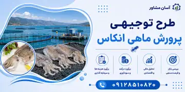 طرح پرورش ماهی انکاس