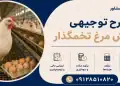 طرح پرورش مرغ تخمگذار