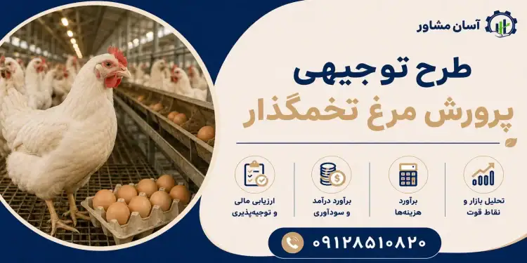 طرح پرورش مرغ تخمگذار