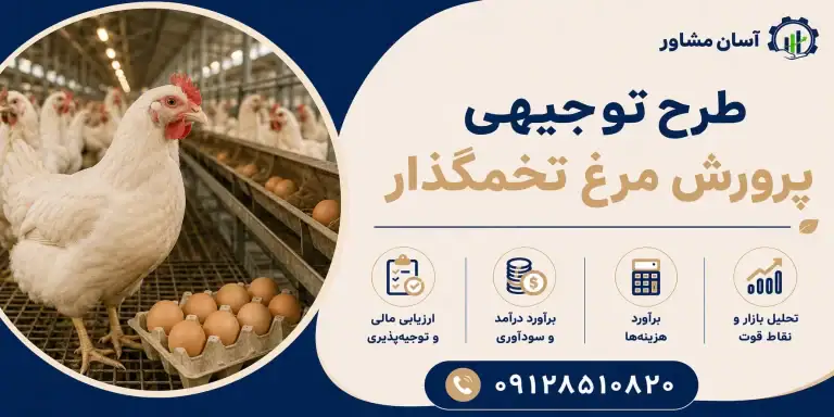 طرح پرورش مرغ تخمگذار