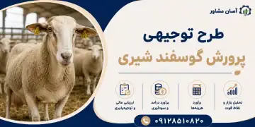 طرح پرورش گوسفند شیری