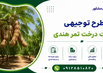 طرح کاشت درخت تمر هندی