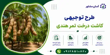 طرح کاشت درخت تمر هندی