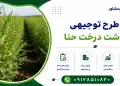 طرح کاشت درخت حنا