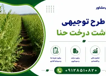 طرح کاشت درخت حنا