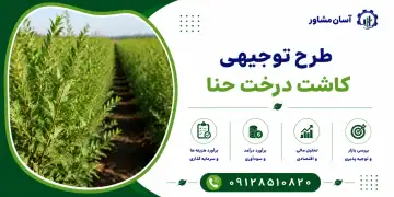 طرح کاشت درخت حنا