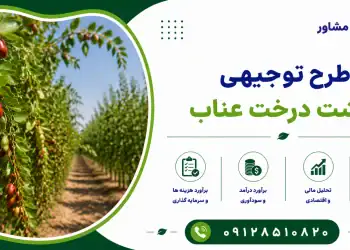 طرح کاشت درخت عناب
