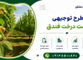 طرح کاشت درخت فندق
