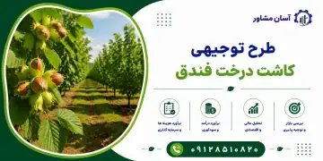 طرح کاشت درخت فندق