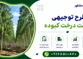 طرح کاشت درخت کبوده