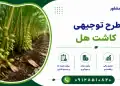 طرح کاشت هل