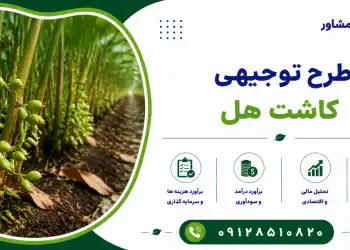 طرح کاشت هل