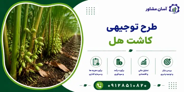 طرح کاشت هل