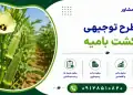 طرح کشت بامیه