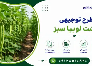 طرح کشت لوبیا سبز