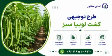 طرح کشت لوبیا سبز