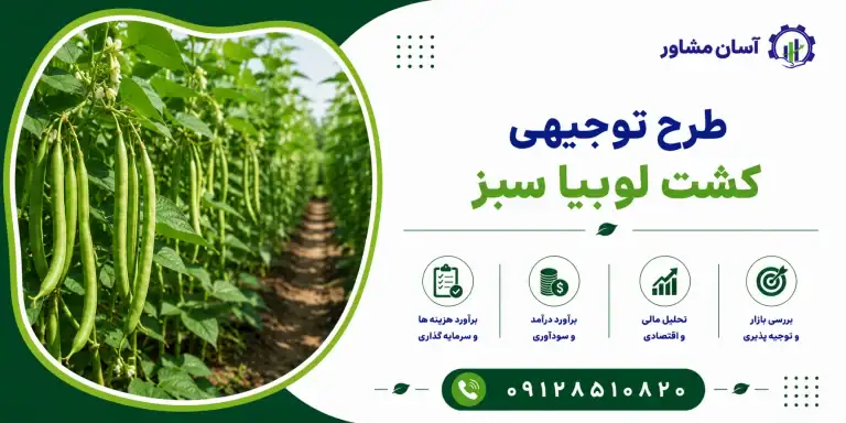 طرح کشت لوبیا سبز
