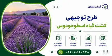 طرح کشت گیاه اسطوخودوس