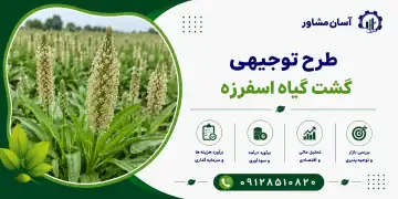 طرح کشت گیاه اسفرزه