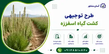 طرح کشت گیاه اسفرزه