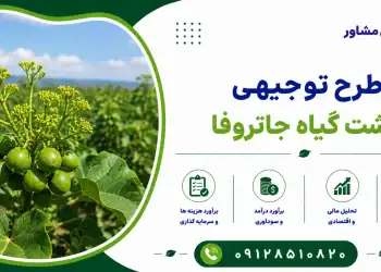 طرح کشت گیاه جاتروفا