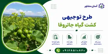 طرح کشت گیاه جاتروفا