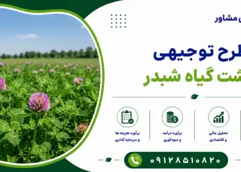 طرح کشت گیاه شبدر