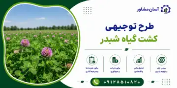 طرح کشت گیاه شبدر