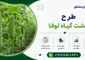 طرح کشت گیاه لوفا