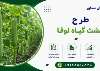 طرح کشت گیاه لوفا