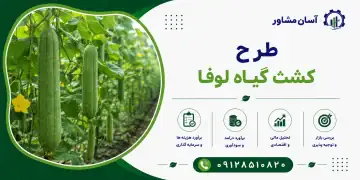 طرح کشت گیاه لوفا