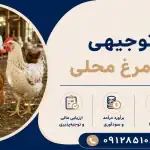 طرح پرورش مرغ محلی
