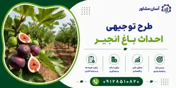 طرح احداث باغ انجیر