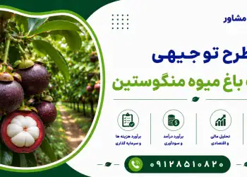 طرح احداث باغ میوه منگوستین