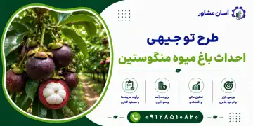 طرح احداث باغ میوه منگوستین