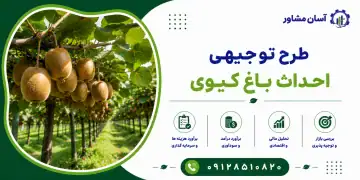 طرح احداث باغ کیوی