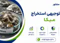 طرح استخراج میکا