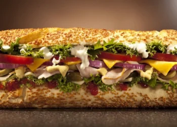 طرح تولید ساندویچ سرد آماده