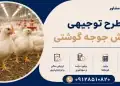 طرح پرورش جوجه گوشتی