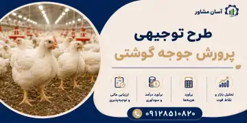 طرح پرورش جوجه گوشتی