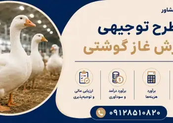 طرح پرورش غاز گوشتی