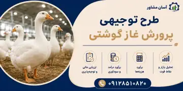 طرح پرورش غاز گوشتی