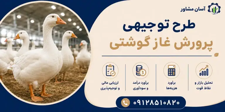 طرح پرورش غاز گوشتی