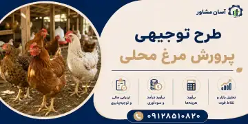 طرح پرورش مرغ محلی